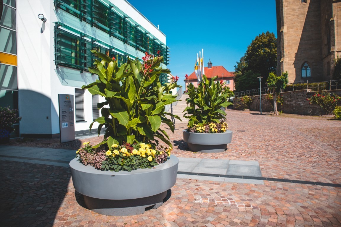 Large pots and plants on the terrace - Greenspired