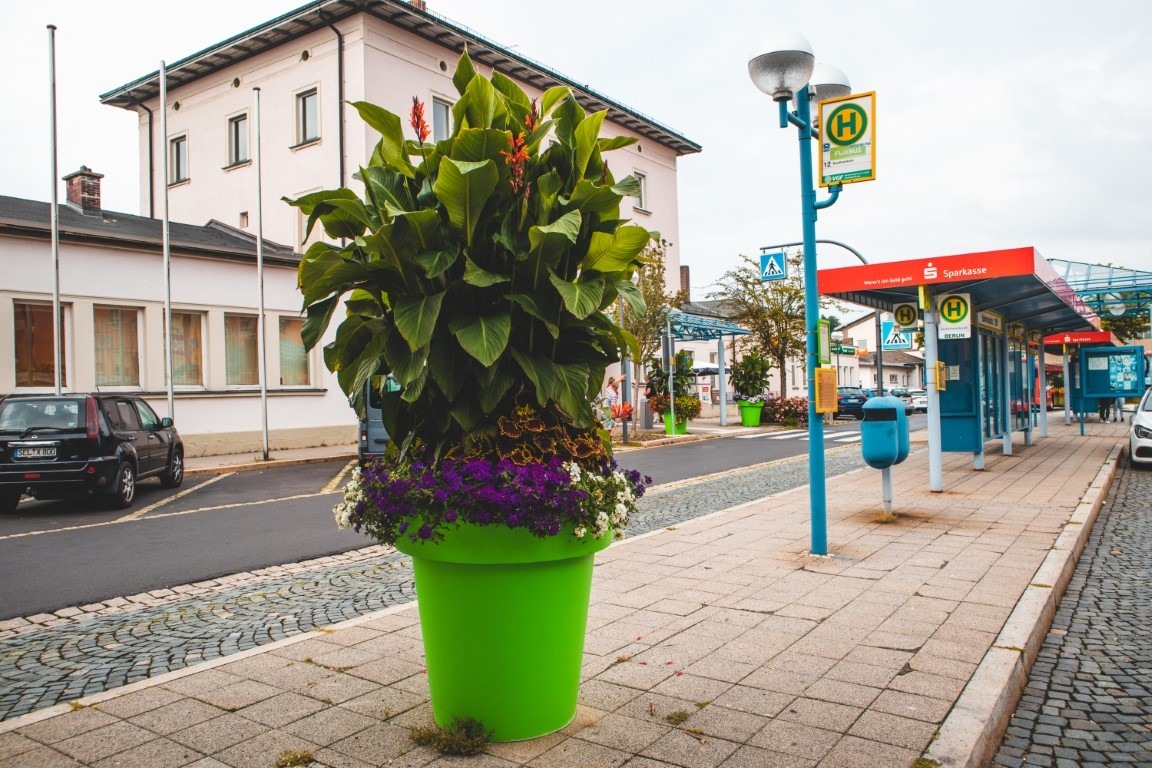 Large pots and plants on the terrace - Greenspired