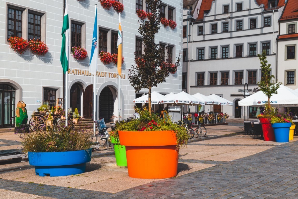 Large pots and plants on the terrace - Greenspired