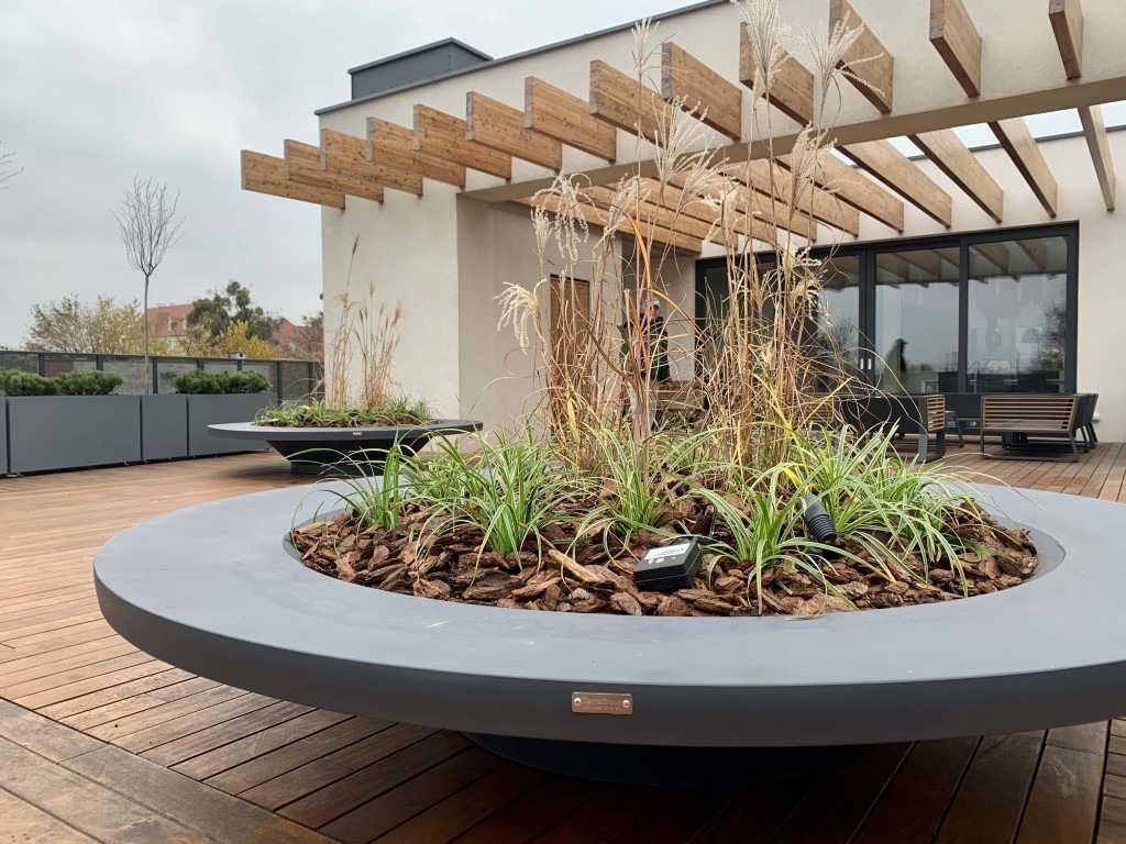 Large pots and plants on the terrace - Greenspired