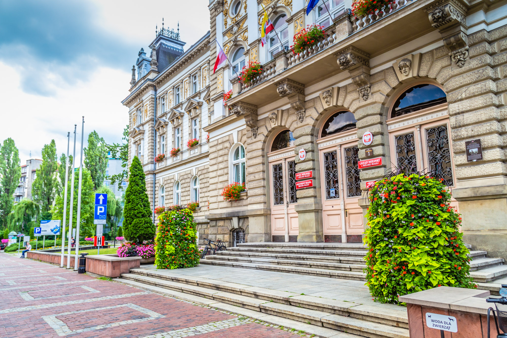 entrance-to-the-building-flowers-in-the-city