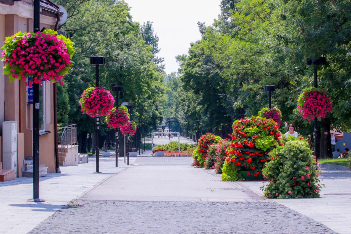 flower-lamp-for-street-lamp