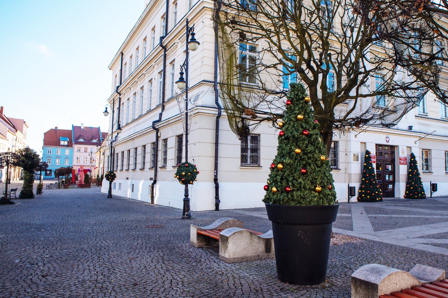 christmas-decoration-in-a-pot