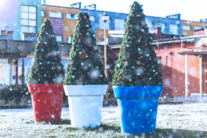 christmas-decoration-in-a-pot2