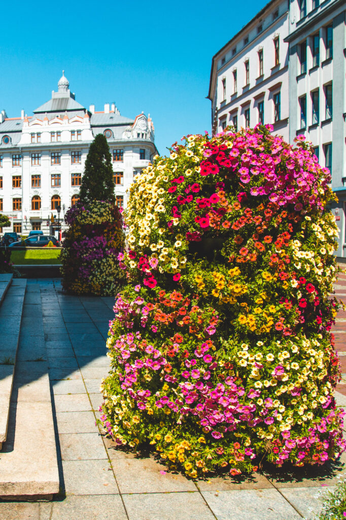 bielsko-biala-seasonal-flower-containers-summer-2020 (3)