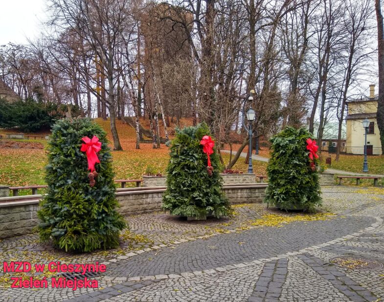 mzd-cieszyn-seasonal-flower-containers-winter