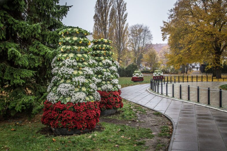 park-zdrojowy-swinoujscie-autumn-2018