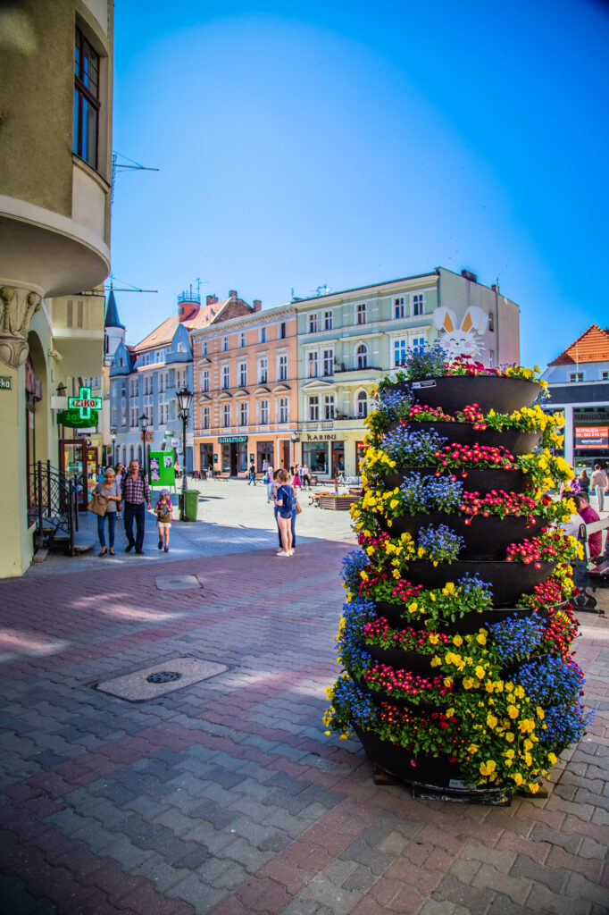 seasonal-flower-containers-spring--zielona-gora-2019 (3)