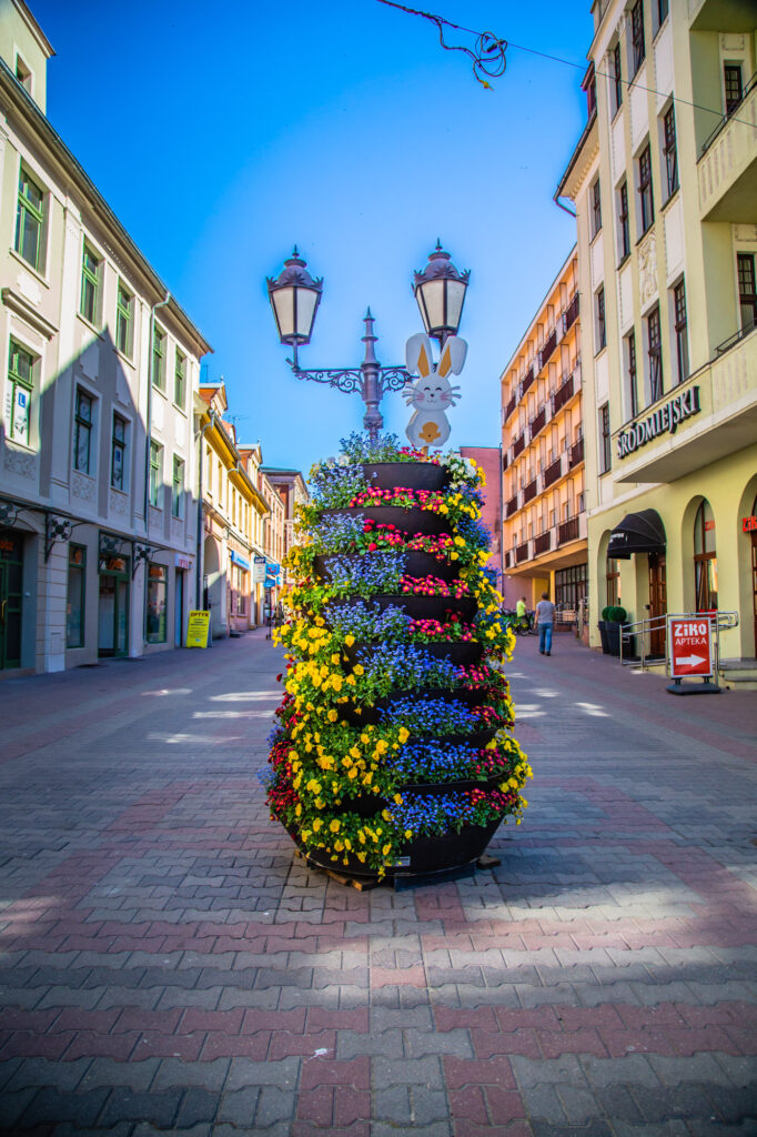 seasonal-flower-containers-spring--zielona-gora-2019 (4)