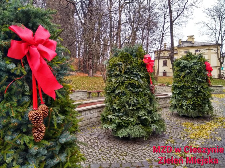 seasonal-flower-containers-winter-cieszyn