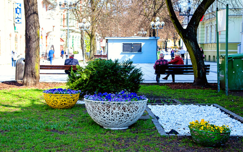 decorative-bowl-with-flowers-in-the-city