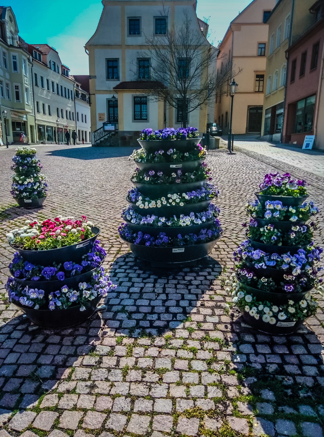 oschatz-spring-flower-compositions-in-the-city (4)