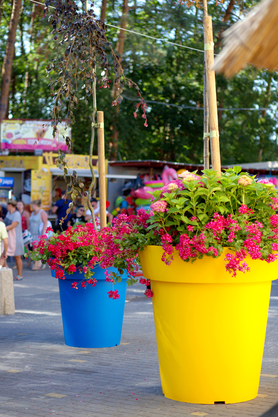 Blue and yellow city flower pots