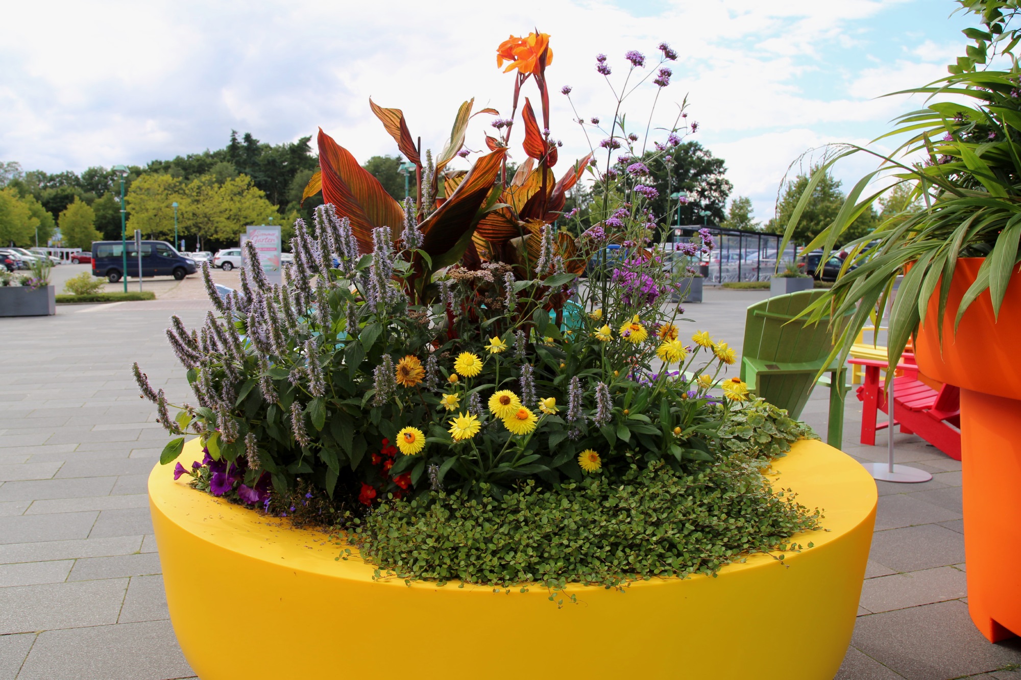 flower-composition-in-a-pot