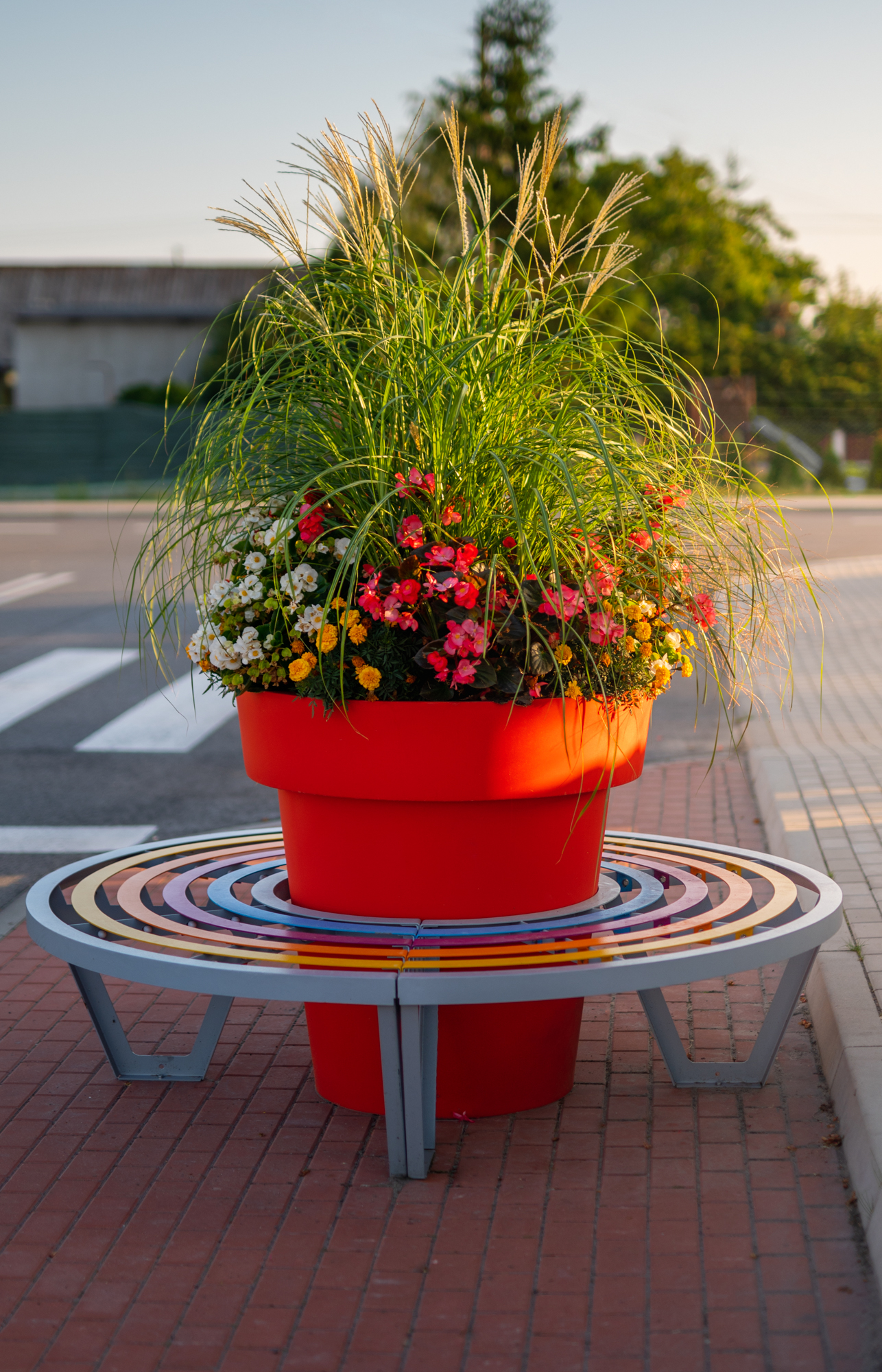 flowers-in-pot-nadnotecka-street-Labiszyn-Zebra-bench (4)