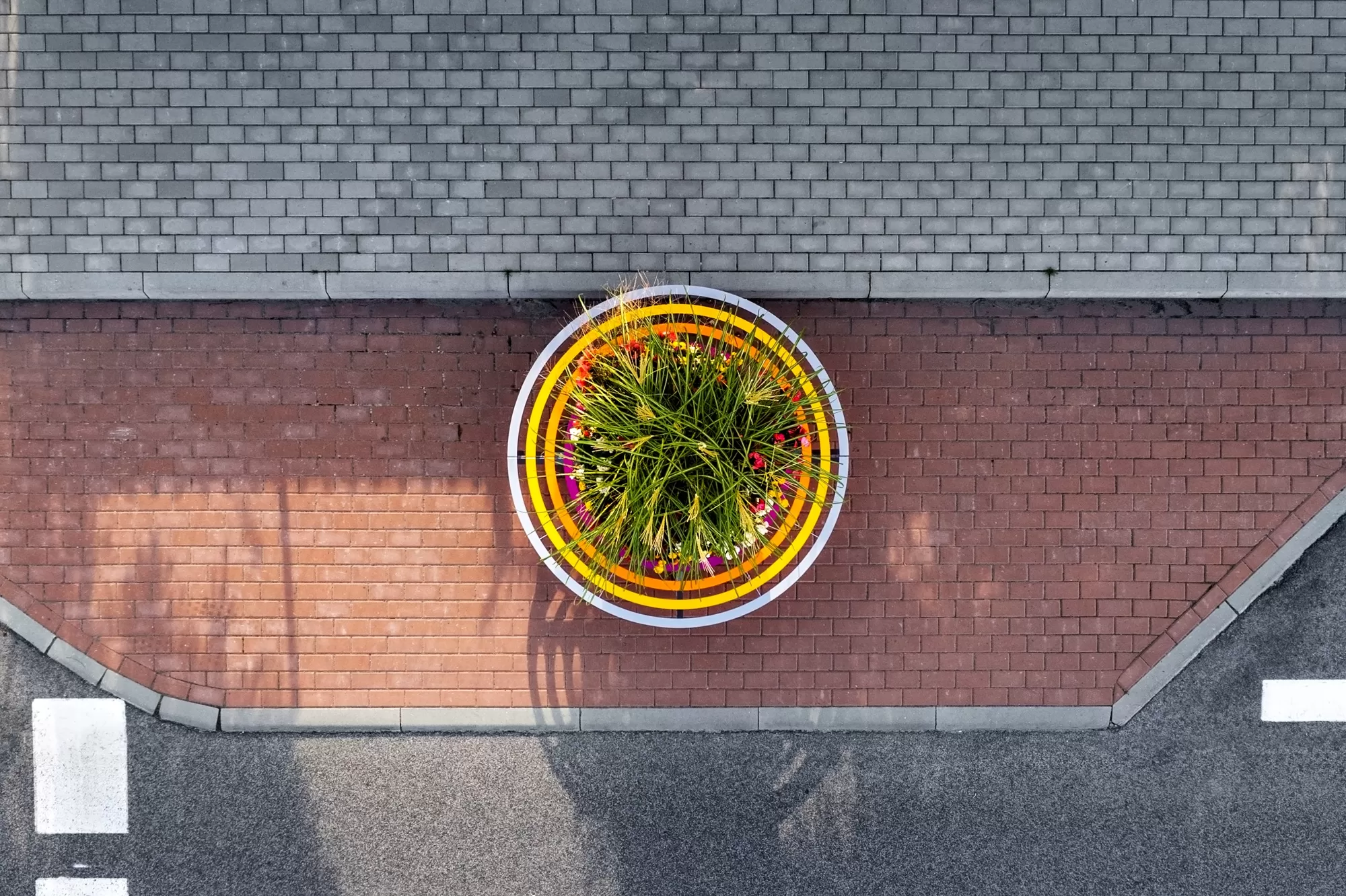 Colorful urban bench with a flower pot