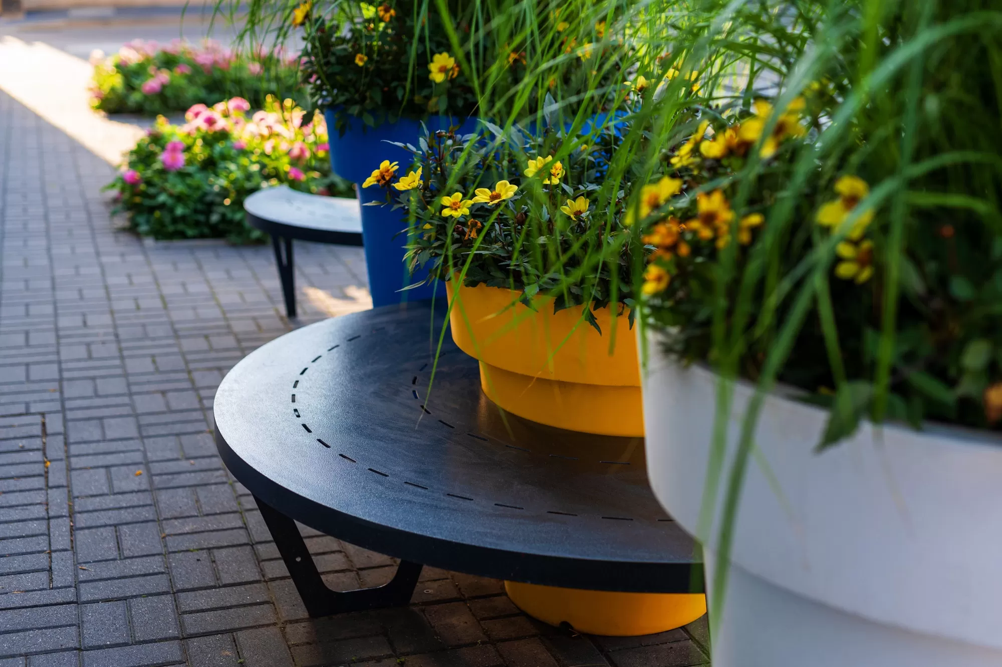 Modern public bench with a flower pot