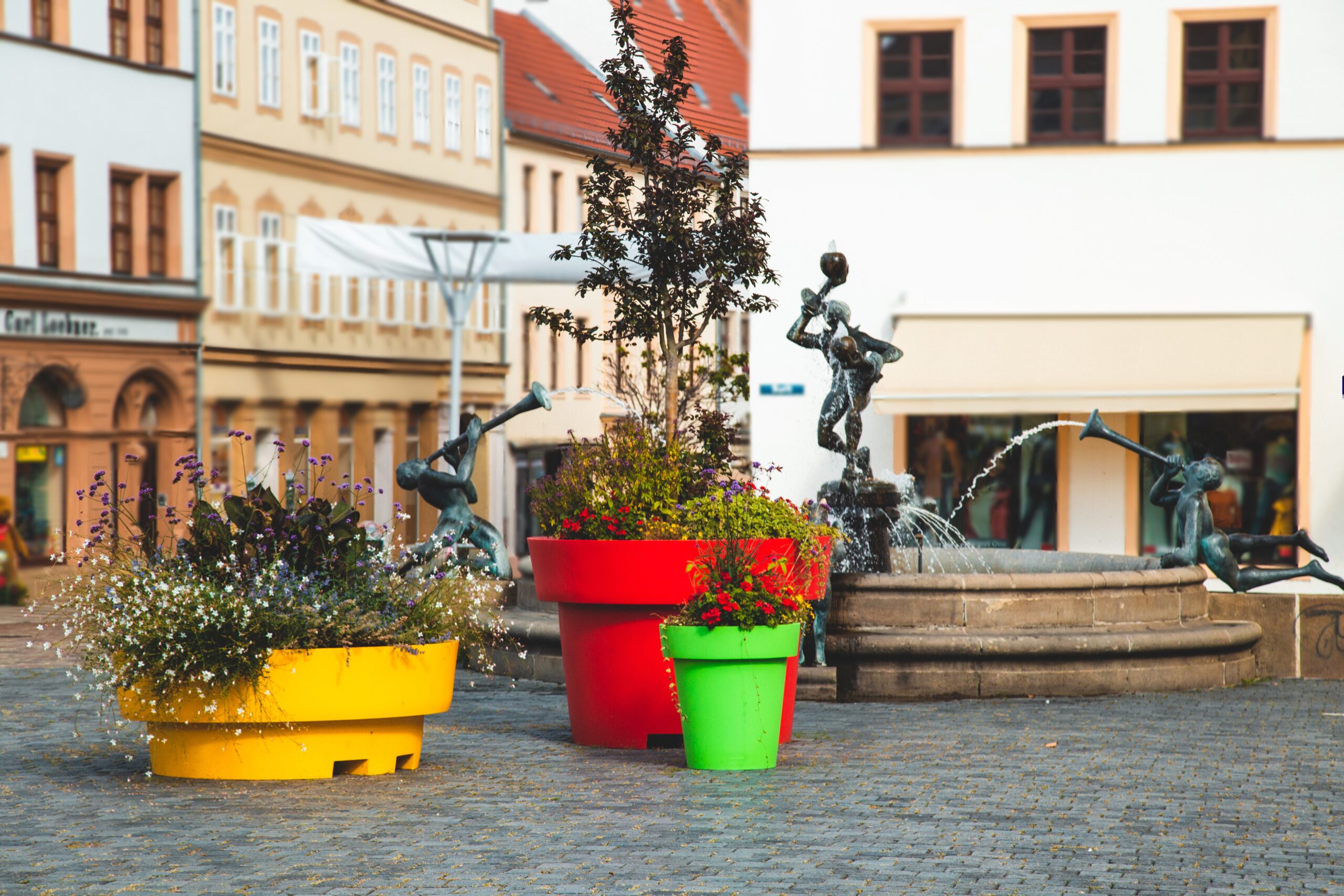 Large pots and plants on the terrace - Greenspired