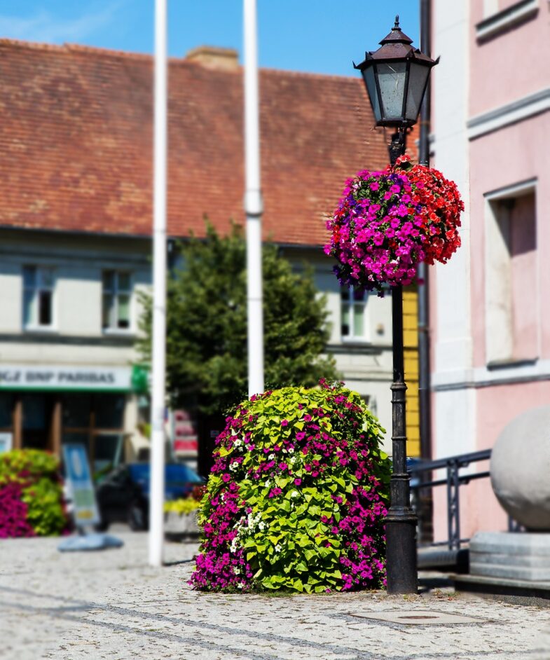 FLOWER TOWERS