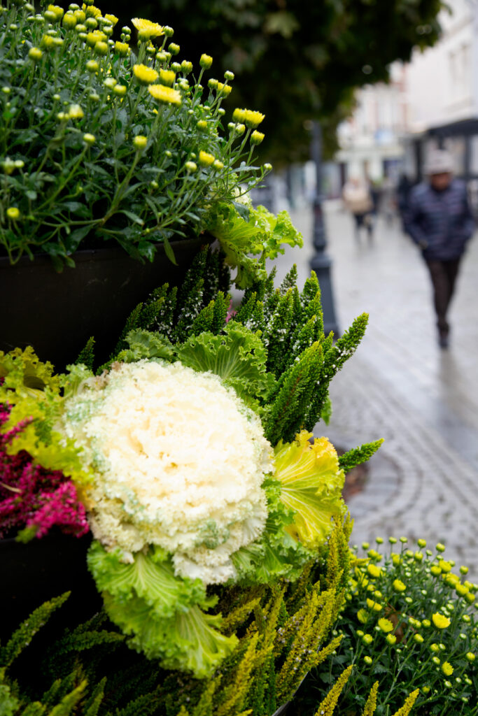 Fall Floral Magic: How to Create a Flower Arrangement with Fruit and Flowers.  - A Life Unfolding