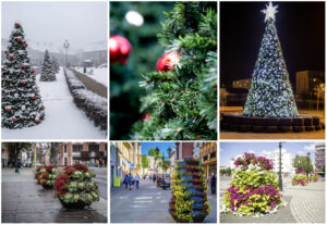 Transformation from Summer Flowerbeds to Winter Enchantment: Urban Christmas Trees for the Holidays ...