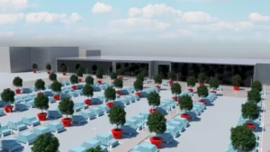 Green Parking Trends in 2024 – 6 Compelling Reasons to Invest in XXL Planters for Parking Spaces