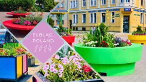New Large Planters in Elbląg: 3 Fantastic Ways to Add Color to Public Spaces