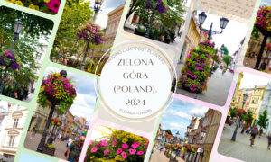 Zielona Góra Full of Flowers – How Hanging Flower Baskets on Street Lamps Add Energy with Colors and...