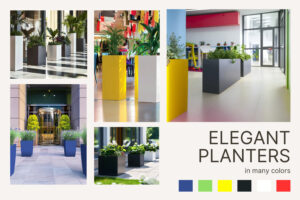 Elegant Planters in a Minimalist Style – Collections Perfect for Any Space!